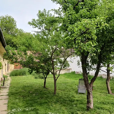 Casa Arthur Richis Guest house